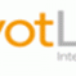 Top Retailers Select PivotLink to Deliver Business Insights