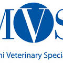 Miami Veterinary Specialists Launches New Website