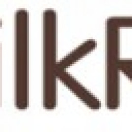 SilkRoad Technology Wins 2012 Best in Biz Award