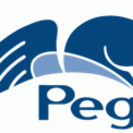 Pegasystems Expands Current Share Repurchase Program