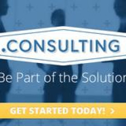 Consulting-Domains: A new Vision of Consulting