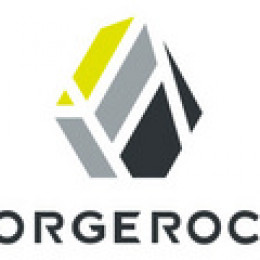 ForgeRock Announces Record Sales Year and Expands in Asia