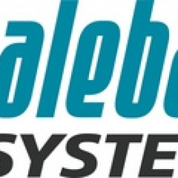Whaleback Systems on Aggressive Growth Path Expanding Market Reach of Cloud-Based Managed Business Communications Services