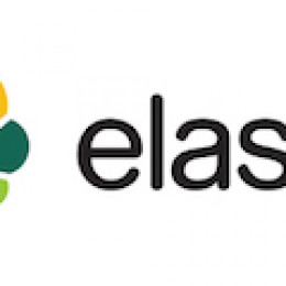 Elastic Delivers New Elasticsearch as a Service Offerings: Found Standard and Found Premium