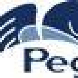 Pegasystems to Announce Financial Results for the Second Quarter of 2011