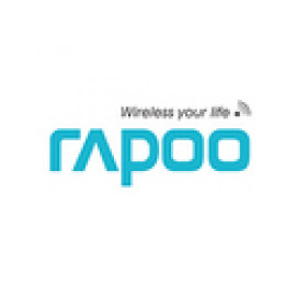 Rapoo Enters North American Market