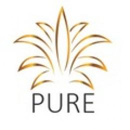 Pure Files Certificate of Designation With the State of Nevada, Finalizing the Creation of the New Series BB Preferred Stock for Shareholder Dividend