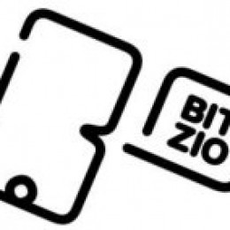 Bitzio, Inc. Announces Year End 2011 Results Including $576,282 in Q4 Revenue