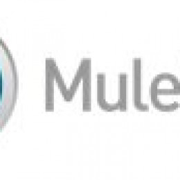 MuleSoft Puts Digital Transformation With APIs Center Stage at CONNECT 2015