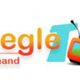 Agora Holdings Inc.–s Geegle Media Unveils Optimized FRAME for Business Use