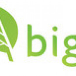Bigleaf Expands Channel Presence with TBI Partnership