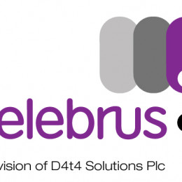 Study Commissioned by Celebrus Advances Strategies for Cross-Channel Business Success