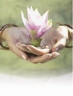 All Flex at Compamed Booth C23 in Hall 8a