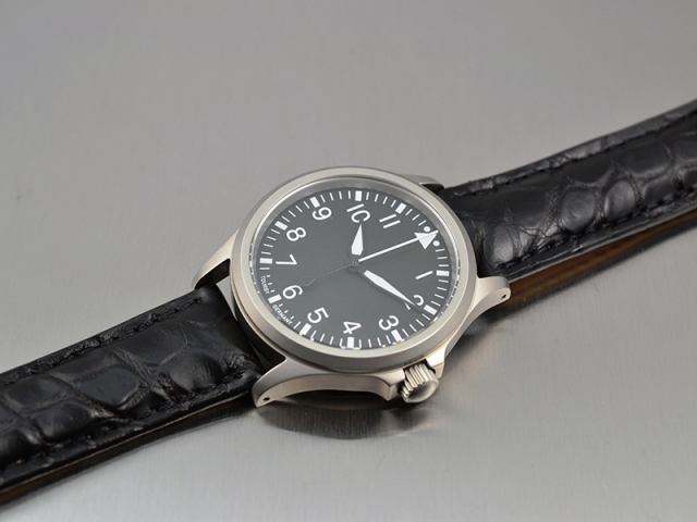 Pilot Watch with Magnetic-field Shielding