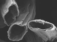 Multi-talented textiles