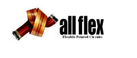 All Flex Reports a Successful -08 with an Increase in Domestic Business And Launches into European T