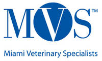 Miami Veterinary Specialists Launches New Website