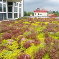 Kithara »RealTime Suite« 8.0 supports Windows Vista