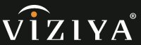 VIZIYA Corporation Ranks 39th Fastest Growing Company in Deloitte-s 2012 Technology Fast 500(TM)