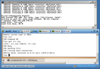 Windows/Linux File Exchange: A Simple Approach