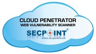 What web vulnerability scanners deal with?