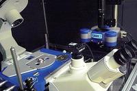 JPK reports on the study of structure and dynamics of biological membranes using AFM and advanced fluorescence microscopies in Pierre-Emmanuel Milhiet-s group at the CBS in Montpellier