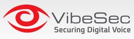 VibeSec Appoints David Chavez to Board of Directors
