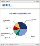 IT Spending by UAE Businesses to Top $4.6 Billion in 2014, IDC says