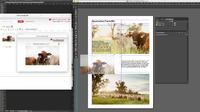 As the first European developer, eyebase merges Adobe InDesign with image database