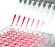 Trenzyme GmbH licenses SEFEX cell line technology from Celonic AG