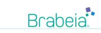 Lead Technology Company, Brabeia Inc., Releases Its 2015 Year-in-Review Lead Technology Company, Brabeia Inc., Releases Its 2015 Year-in-Review