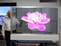 New: Large, transparent OLED display for extraordinary presentations