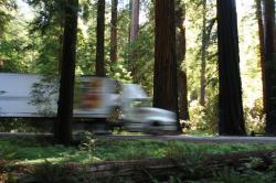 MultiTasking von Kithara