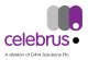 Study Commissioned by Celebrus Advances Strategies for Cross-Channel Business Success