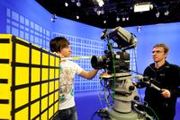 Between Purpose and Performance