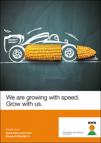 Hexaware Achieves AWS Premier Tier Status in the Amazon Web Services Partner Network